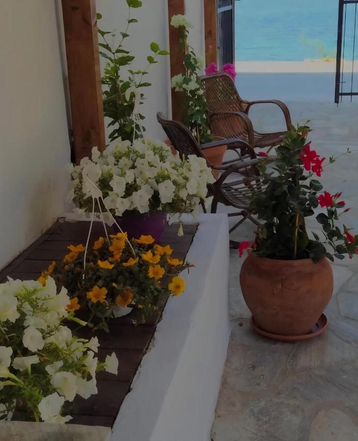 Grand Boutique Studios أفيسوس المظهر الخارجي الصورة